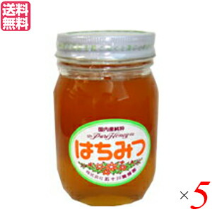 【4/10(金)限定！カードでポイント8倍！】はちみつ 蜂蜜 国産 五十川養蜂園 国産はちみつ 混花 500g ５個 送料無料