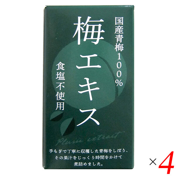 【マラソン限定！100円クーポン】梅 青梅 ペースト 特別栽培梅エキス 王隠堂 65g 4個セット 送料無料