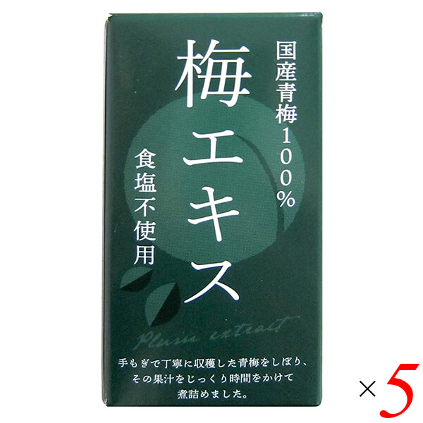 【100円クーポン!】学割6倍!梅 青梅 ペースト 特別栽培梅エキス 王隠堂 65g 5個セット 送料無料|リボン通販