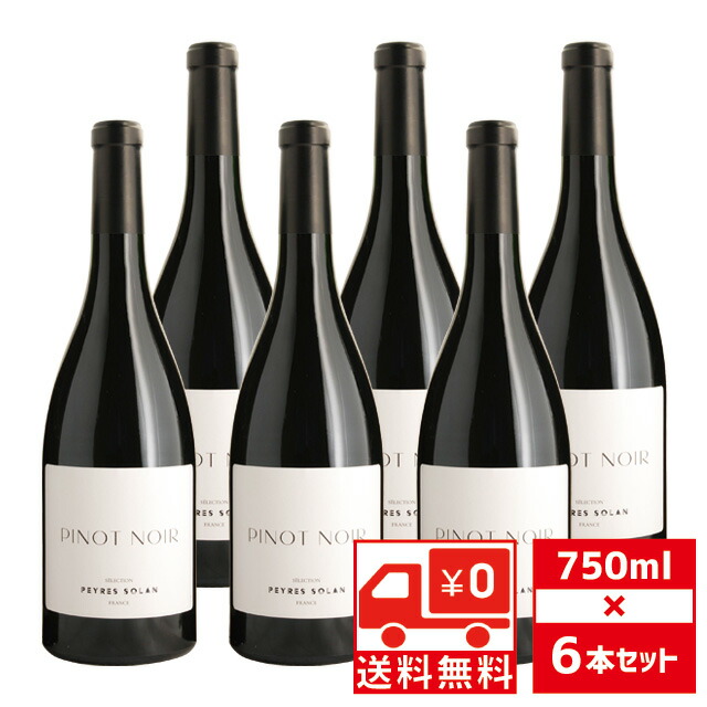 ブルゴーニュ ピノ・ノワール 2020 750ml 楽天市場】ブルゴーニュ ピノノワール 2020 750mlドメーヌ