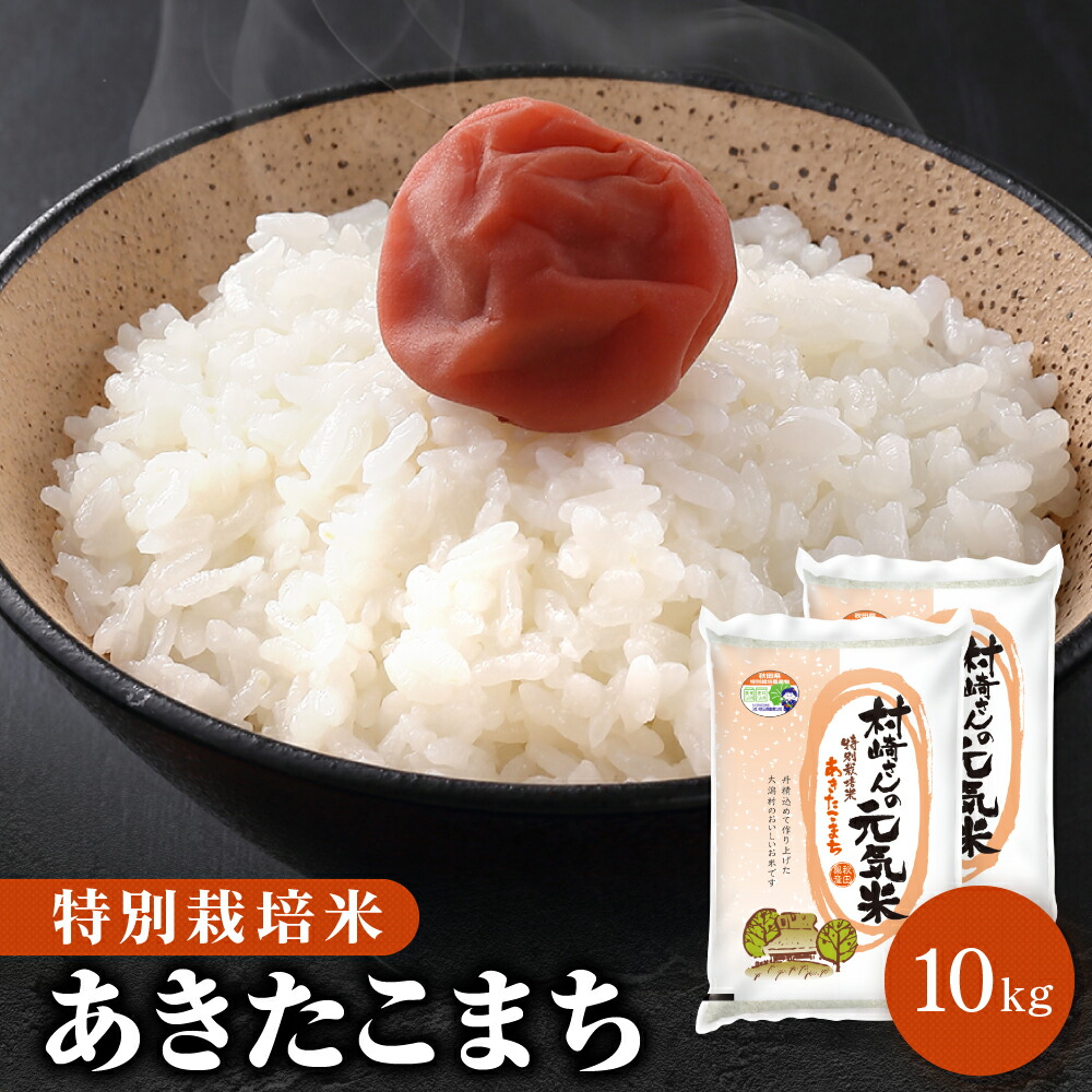 お米 新米 令和6年 岡山県産 朝日 10kg (5kg×2袋) アサヒ 送料