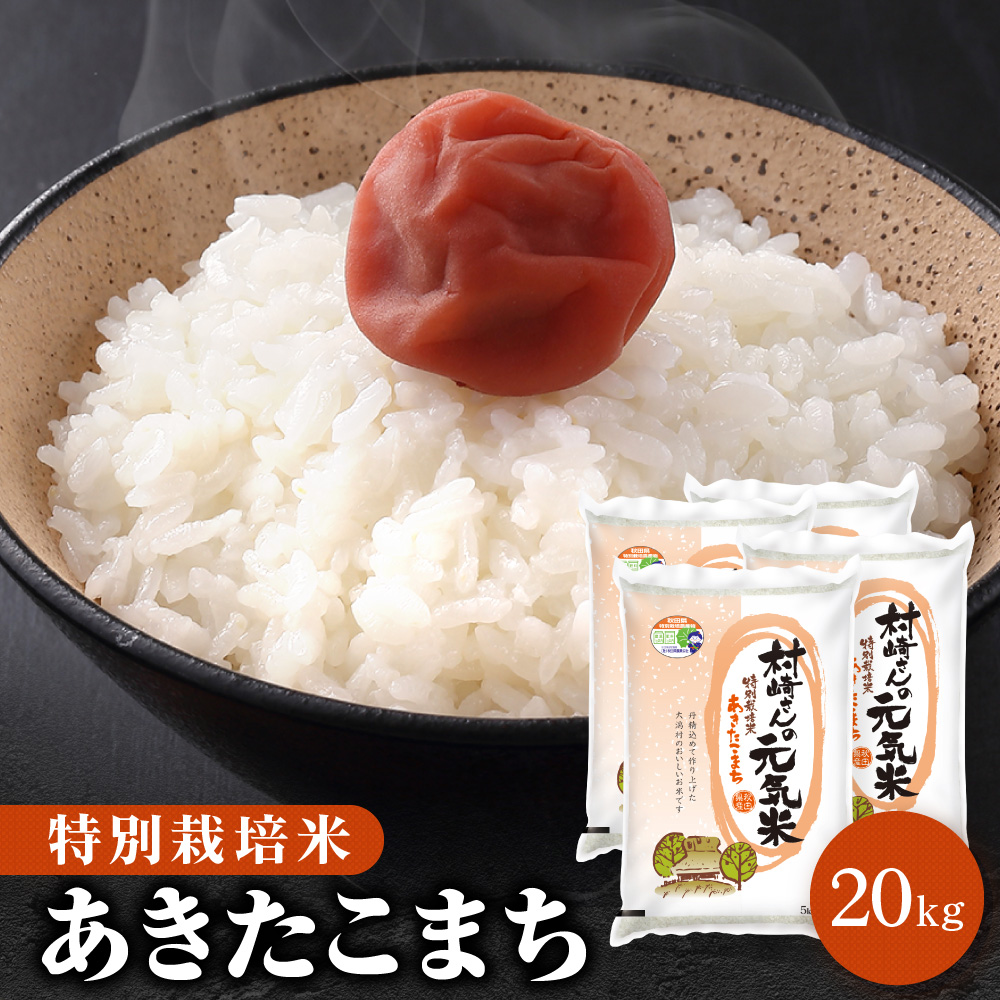 令和５年産 秋田県産 あきたこまち 20kg 無洗米も対応 - 米・雑穀・粉類