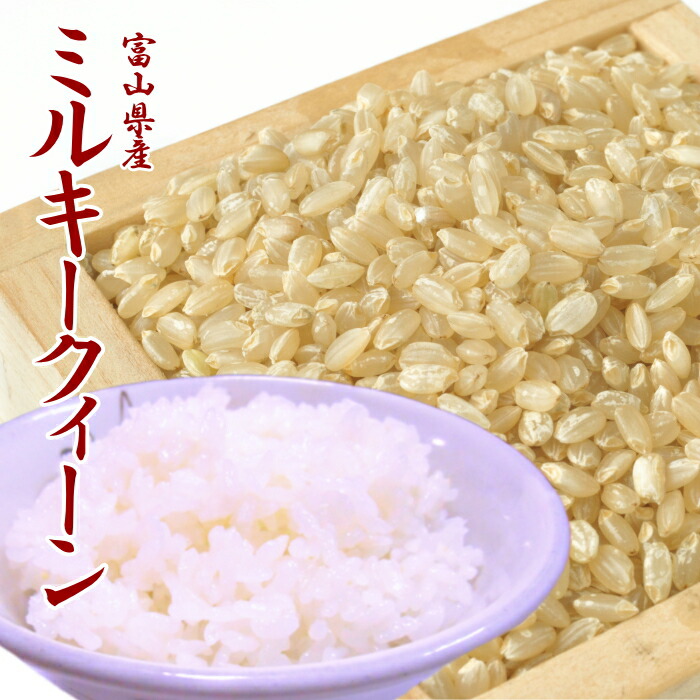 【新米】令和６年 お米 送料無料 ミルキークイーン 玄米 5kg 富山県産 あす楽  安い 美味しい