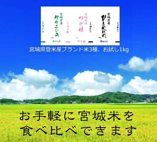 楽天市場】【訳あり/二等米】もみ殻 未成熟米 多少あります 令 楽天市場】【訳あり/二等米】もみ殻 未成熟米 多少あります 令