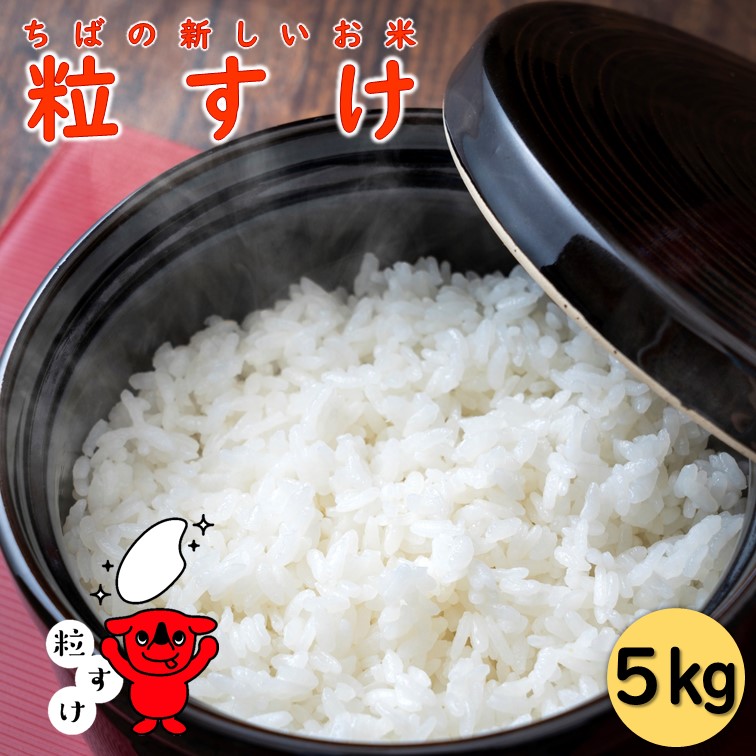 新潟県産 コシヒカリ 30kg (5kg×6袋) 無洗米 令和6年産 米 お米
