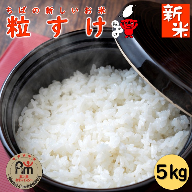 楽天市場】【送料無料】千葉県産ふさこがね 5kg R7【新米令和7年産