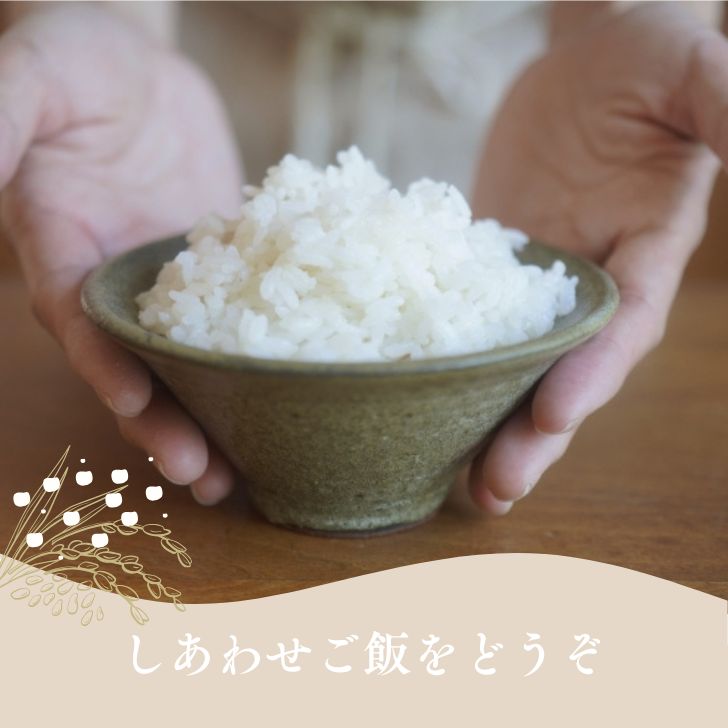 令和7年度産 恋の予感 30キロ入り 玄米 Food Food 【公式通販】