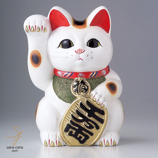 楽天市場】白小判猫8号左手 金運招き猫 縁起 風水 福 開店祝い