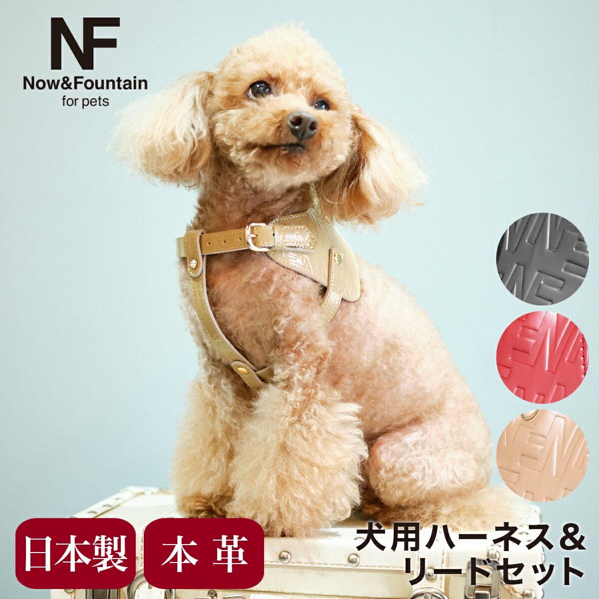 ランクインアイテム商品目録 首輪・胴輪・リード-犬用品