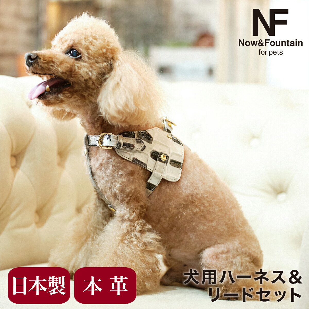 成年者の人となりグッズ特集 首輪・胴輪・リード-犬用品