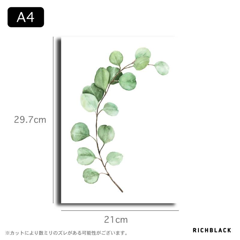 楽天市場 クリアポスター ユーカリ アート 水彩風 ドライフラワー ウェルカム 玄関 文字 シンプル モノクロ モノトーン フレーム カフェ 壁掛け インテリア新築 新生活 おしゃれ かわいい 北欧 北欧風 北欧テイスト 透明 ポスター Richblack 01