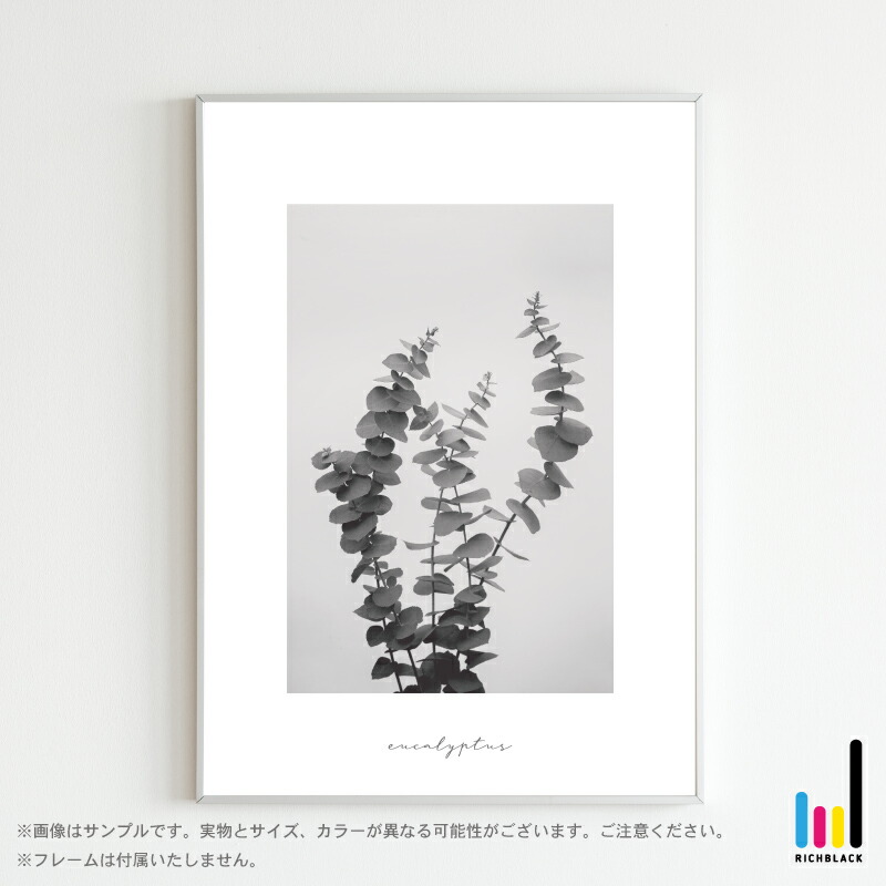 楽天市場 ユーカリ モノトーン プリント ポスター A1 北欧 北欧風 北欧インテリア 北欧テイスト 雑貨 モノクロ 白黒 ドライフラワー シンプル 自然 写真 フレーム ナチュラル インテリアアート 観葉植物 植物 かわいい おしゃれ Richblack 01