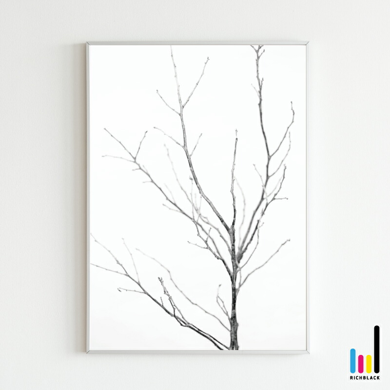 楽天市場 枝 モノトーン ポスター A1 枝もの 木 北欧 北欧風 北欧インテリア 北欧テイスト 雑貨 モノクロ 白黒 ドライフラワー フラワー シンプル 自然 写真 プリント フレーム ナチュラル インテリア アート 観葉植物 植物 かわいい おしゃれ 特大 Richblack 01
