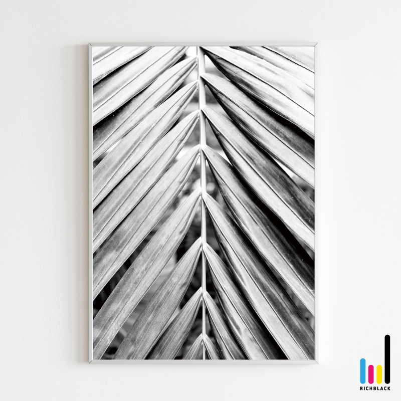 楽天市場 Paradise モノトーン ポスター ヤシの木 柄 ビーチ 海 波 ハワイアン サーフ サーフィン アートポスター インテリア ショップ 雑貨 写真 プリント モノクロ 白黒 シンプル 自然 大判 特大 フレーム ナチュラル インテリアアート 壁掛け おしゃれ カフェ