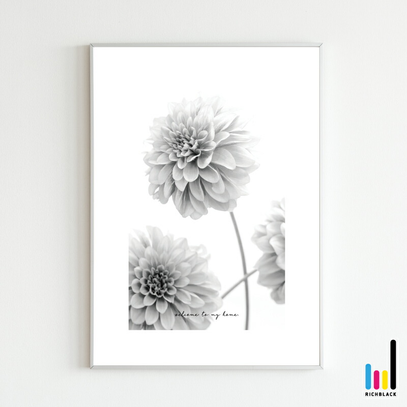 楽天市場】ダリア モノトーン ポスター [ A4 ]花 夏 北欧 北欧風 北欧