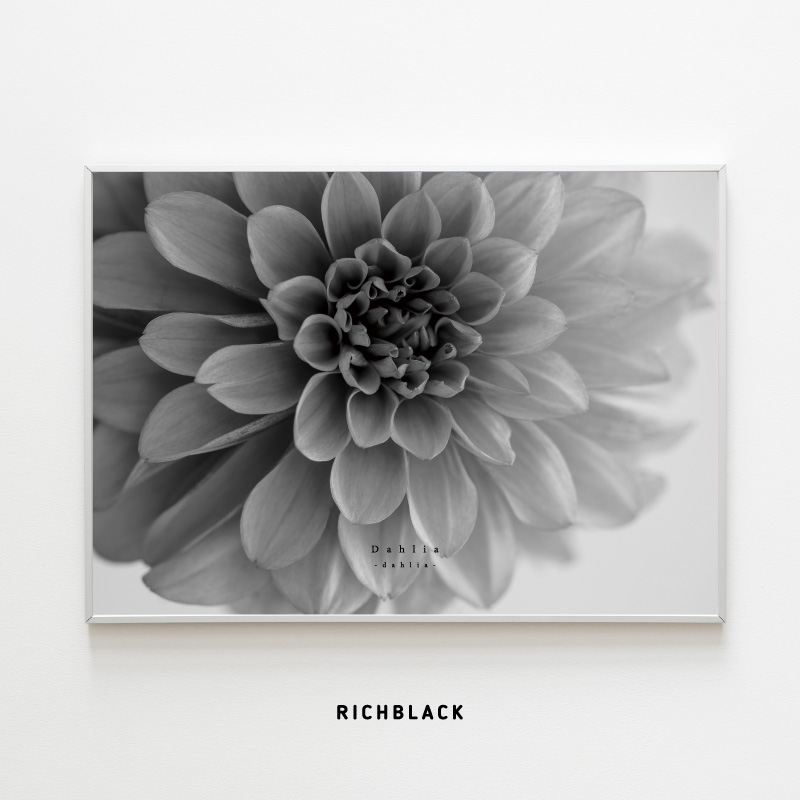 楽天市場 ダリア モノトーン ポスター A1お花 春 北欧 北欧風 北欧インテリア 北欧テイスト 雑貨 モノクロ 白黒 グレー フラワー シンプル ナチュラル インテリア アート かわいい おしゃれ 特大 大きい Richblack 01