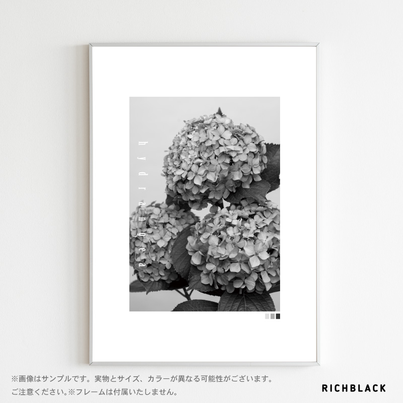 楽天市場 アジサイ モノトーン ポスター A3紫陽花 お花 春 北欧 北欧風 北欧インテリア 北欧テイスト 雑貨 モノクロ 白黒 グレー フラワー シンプル ナチュラル インテリア アート かわいい おしゃれ 特大 大きい Richblack 01