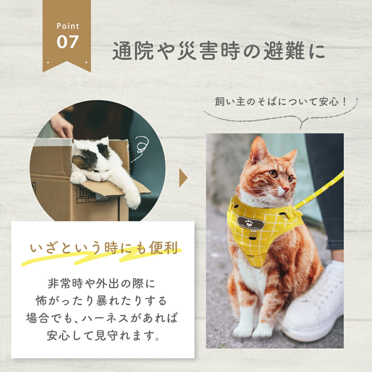 市場 送料無料 リード ねこ 抜けない メッシュ 小型犬 ハーネス 猫 猫用 ダブルロック キャット 胴輪 全7色 ネコ