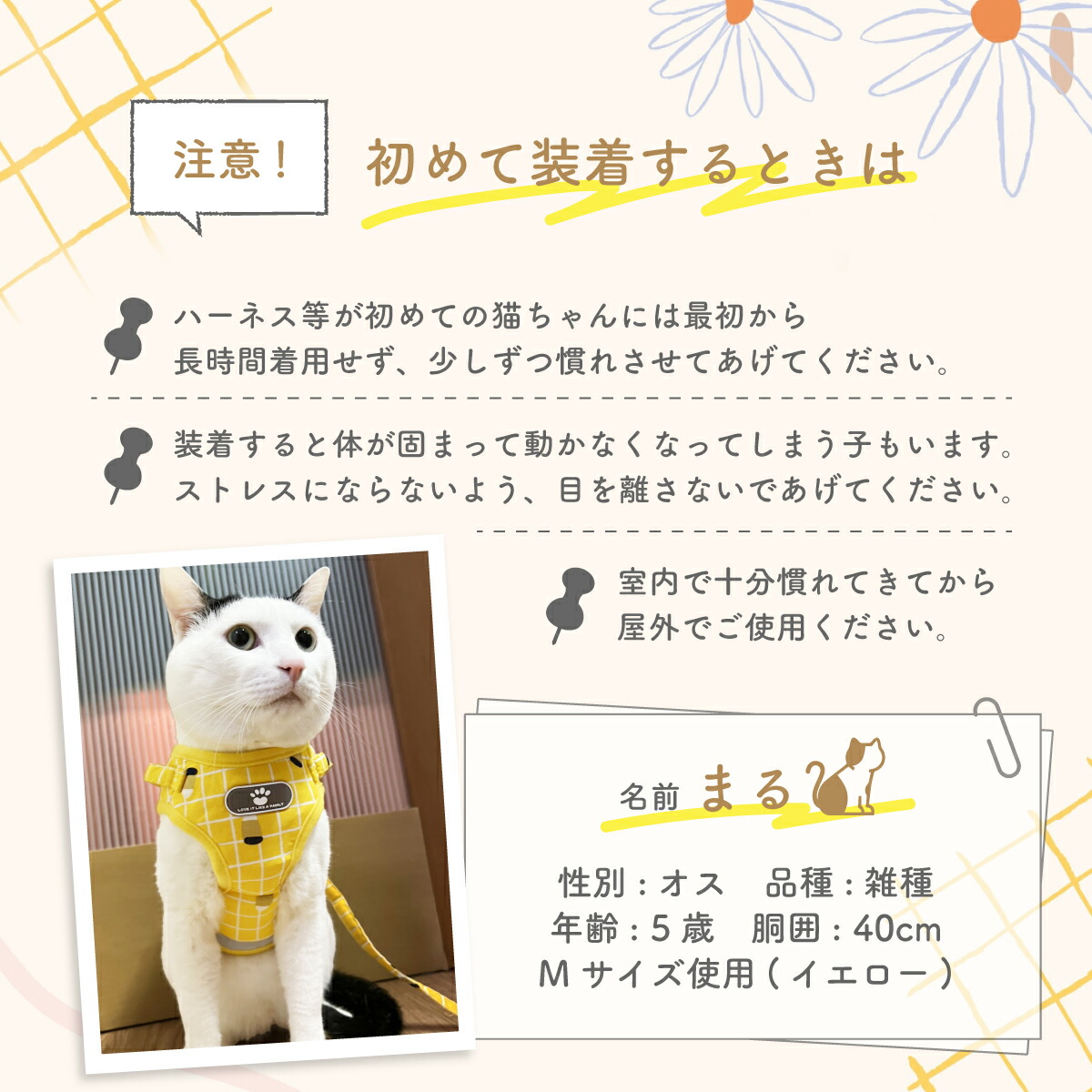 送料無料 猫 ネコ 胴輪 メッシュ リード キャット 小型犬 ダブルロック 猫用 抜けない ねこ ハーネス 全7色
