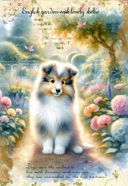 楽天市場】New 犬 犬柄 超レア シェットランドシープドッグ