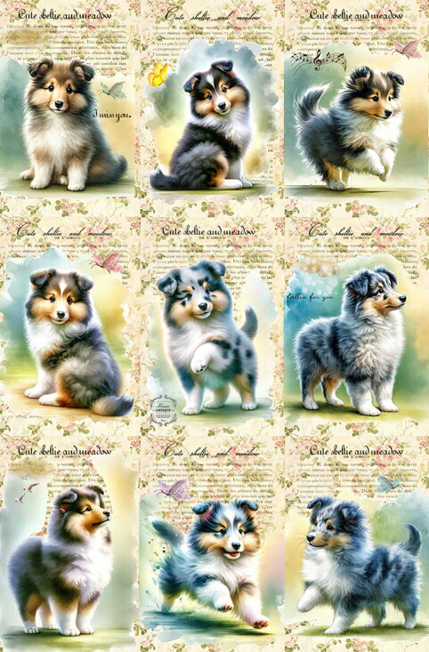 楽天市場】New 犬 犬柄 超レア シェットランドシープドッグ