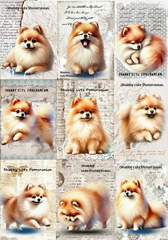 パネル生地 犬 マルチーズ ヨーキー シーズー パグ チワワ