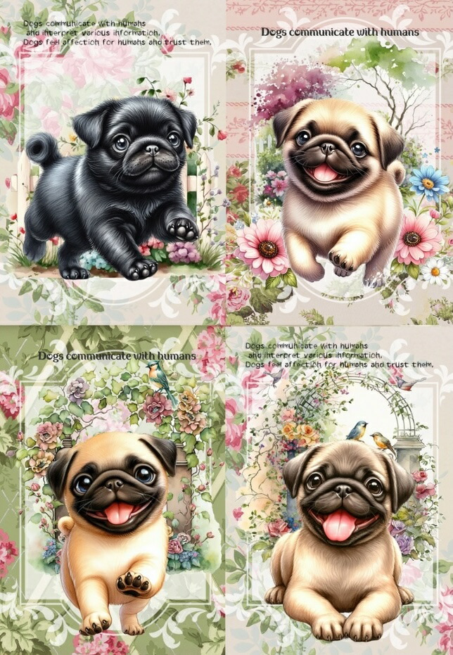 楽天市場】輸入 USAコットン 生地 布 パグズ C2488-Pug 楽天市場】輸入 USAコットン 生地 布 パグズ C2488-Pug