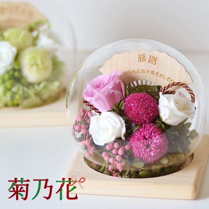 敬老の日差し上げ物/年長の祝賀会特集