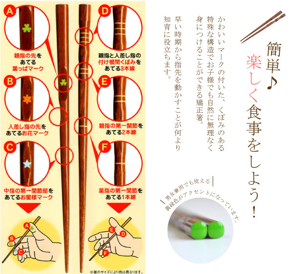 子供 お箸 補助 箸 おはし上手 右きき用 子供箸 16 5cm 公式ストア 矯正箸 子ども お箸の持ち方矯正 子ども箸 トレーニング 三点支持箸 トレーニング箸 持ち方のくせ直し 名入れ 名前入り