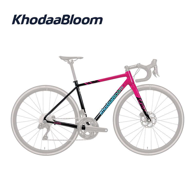 楽天市場】DE ROSA デローザ SK Pininfarina White Glossy 50 ロード
