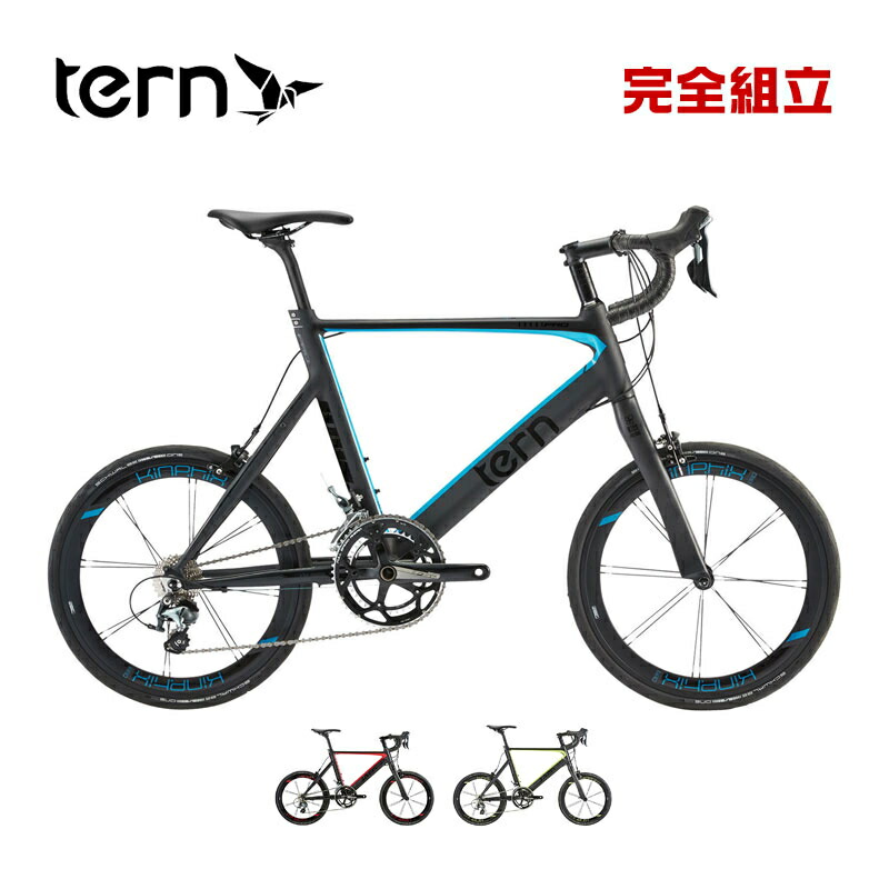 TERN 曲がること 2026年模範例 Surge Pro Ｄｅｌｔａ サージュプロデルタ 2x10s 小みち車 ミニベロ