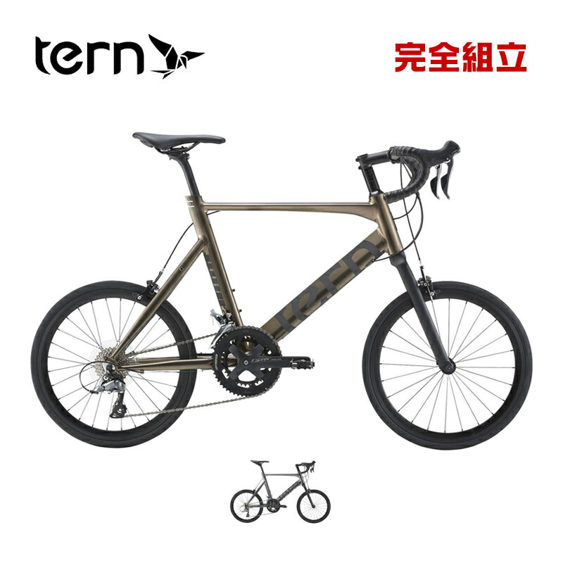 TERN 折りかえし 2026年真似形 Surge サージュ 制限事項色合い 2x8s 小みち車 ミニベロ
