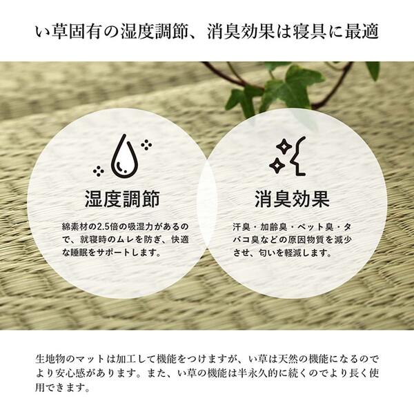 藺草墊、墊子、睡墊、免費墊子、墊子、日式圖案、日本製造、綠橙色、約。 70 x 180厘米