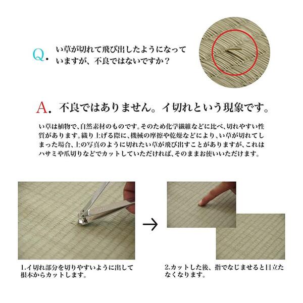 藺草墊、墊子、睡墊、免費墊子、墊子、日式圖案、日本製造、綠橙色、約。 70 x 180厘米