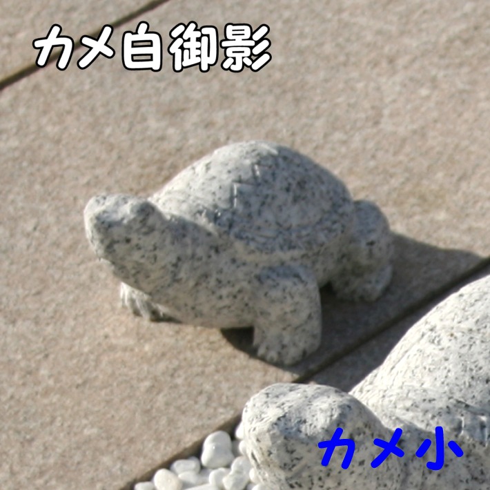 【送料無料】縁起物　特大サイズ白珊瑚と木彫り亀 白珊瑚 彫恵比寿大黒彫刻置物』 ｜骨董品買取 緑和堂
