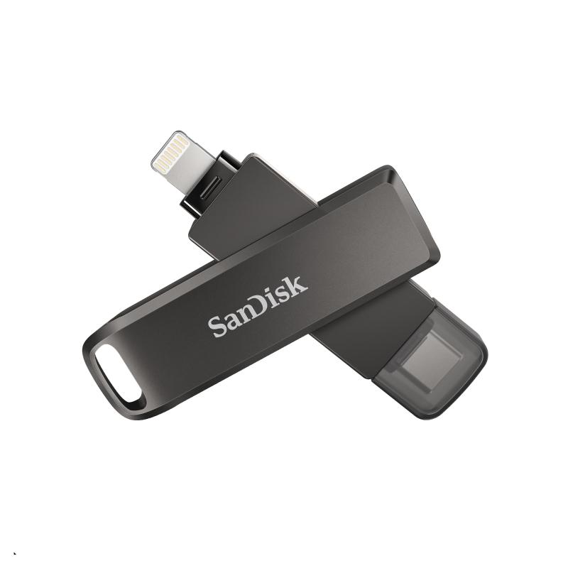 TYPE-C SDIX70N-256G-GN6NE nig Flash｜利休プリン 14,761円