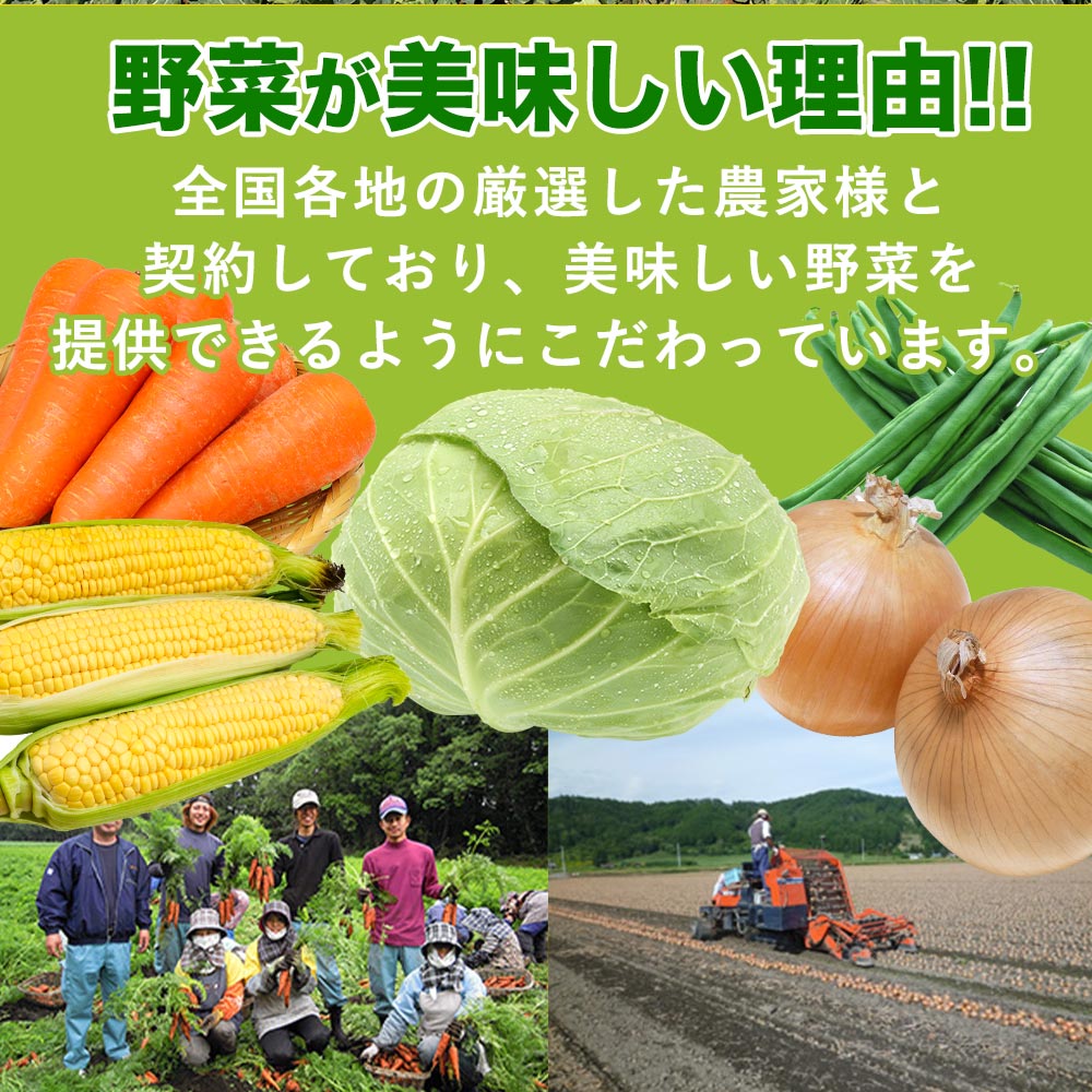 S＼TVで紹介されました！／【衝撃の25％OFF！！3商品から1つ選べる野菜たっぷりセット】 リンガーハット 野菜たっぷりちゃんぽん6食セット 野菜たっぷり皿うどん6食セット 野菜たっぷりちゃんぽん3食＆野菜たっぷり皿うどん3食セット ランキング
