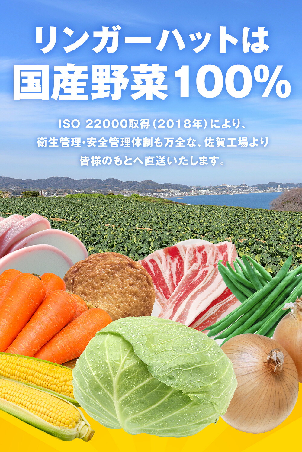 リンガーハット 長崎ちゃんぽん 8食 チャンポン 冷凍 簡単 調理 仕送り 麺 スープ セット 国産野菜100%
