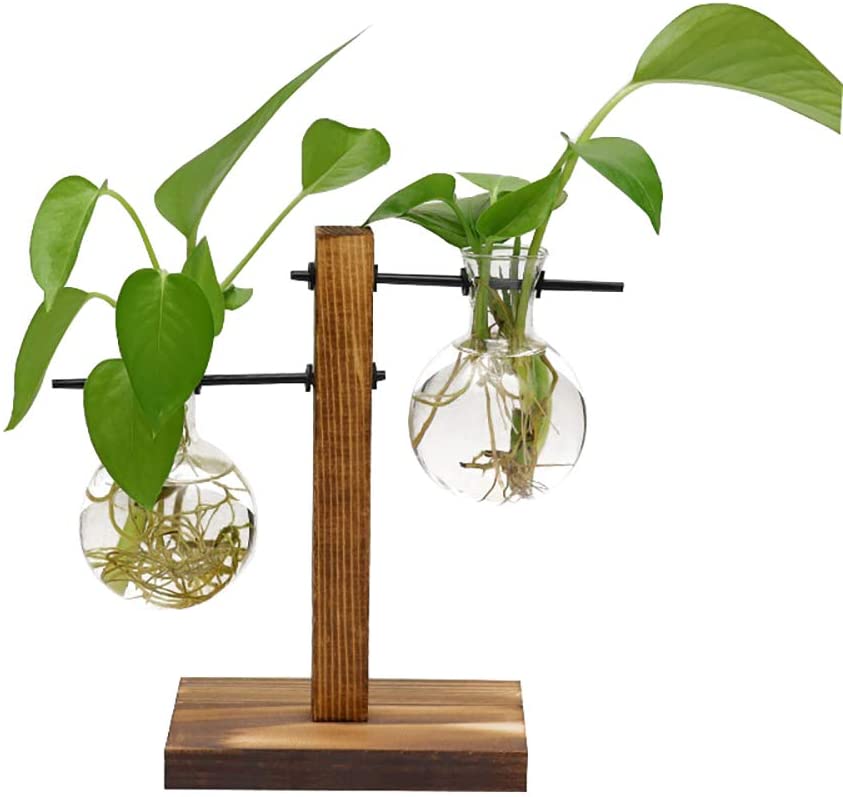 楽天市場 木製花瓶スタンド 水耕栽培花瓶 卓上花瓶 水耕栽培植物 電球形ガラス瓶 花 植物栽培容器 木製スタンド付きデスクトップガラスプランター電球花瓶ホームガーデン結婚式の装飾 Vooph
