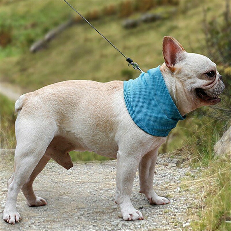 楽天市場 クールバンダナ ひんやり バンダナ クール 熱中症対策 犬用 犬 服 犬服 犬の服 ドッグウェア 小型犬 中型犬 大型犬 Vooph