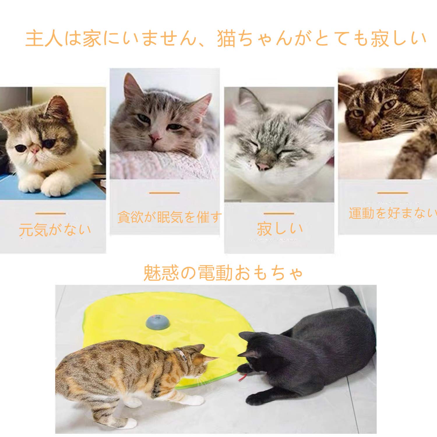 楽天市場 猫用おもちゃ 電動 自動回転 人気 電動ネズミ 猫じゃらし ペットトレーニング ねこ キャット 猫 ネコ ペット玩具 猫遊び 猫用品 電動ぐるぐる 猫ちゃん興奮 猫遊び 猫じゃらし キャットトイ ねずみ 遊び道具 一人遊び Vooph