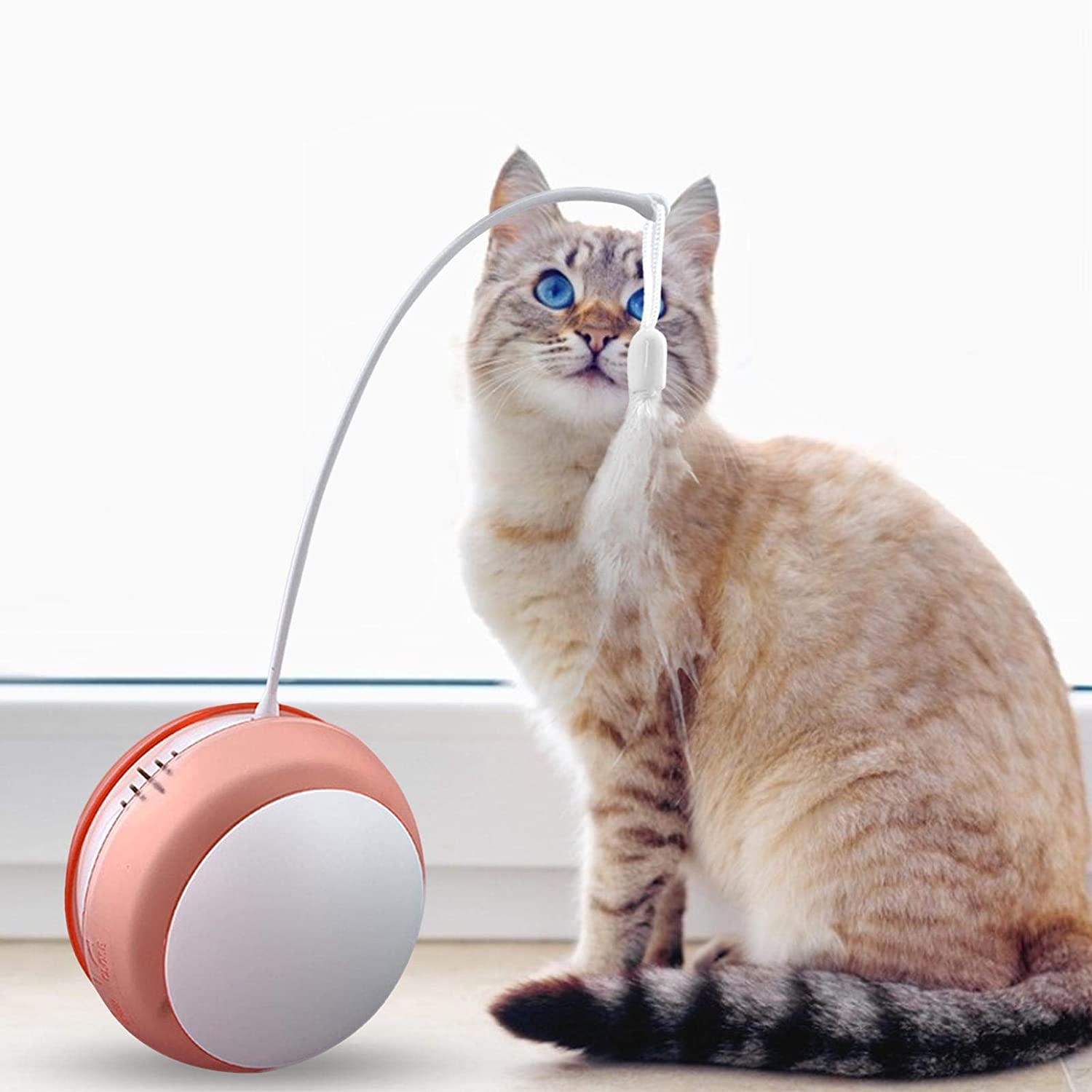 楽天市場 猫 自動 おもちゃ 電動 猫じゃらし 動く Led 光るボール 猫 おもちゃ 電動 ボール 音出る可能 運動不足 ストレス解消 羽のおもちゃ ダイエット Vooph