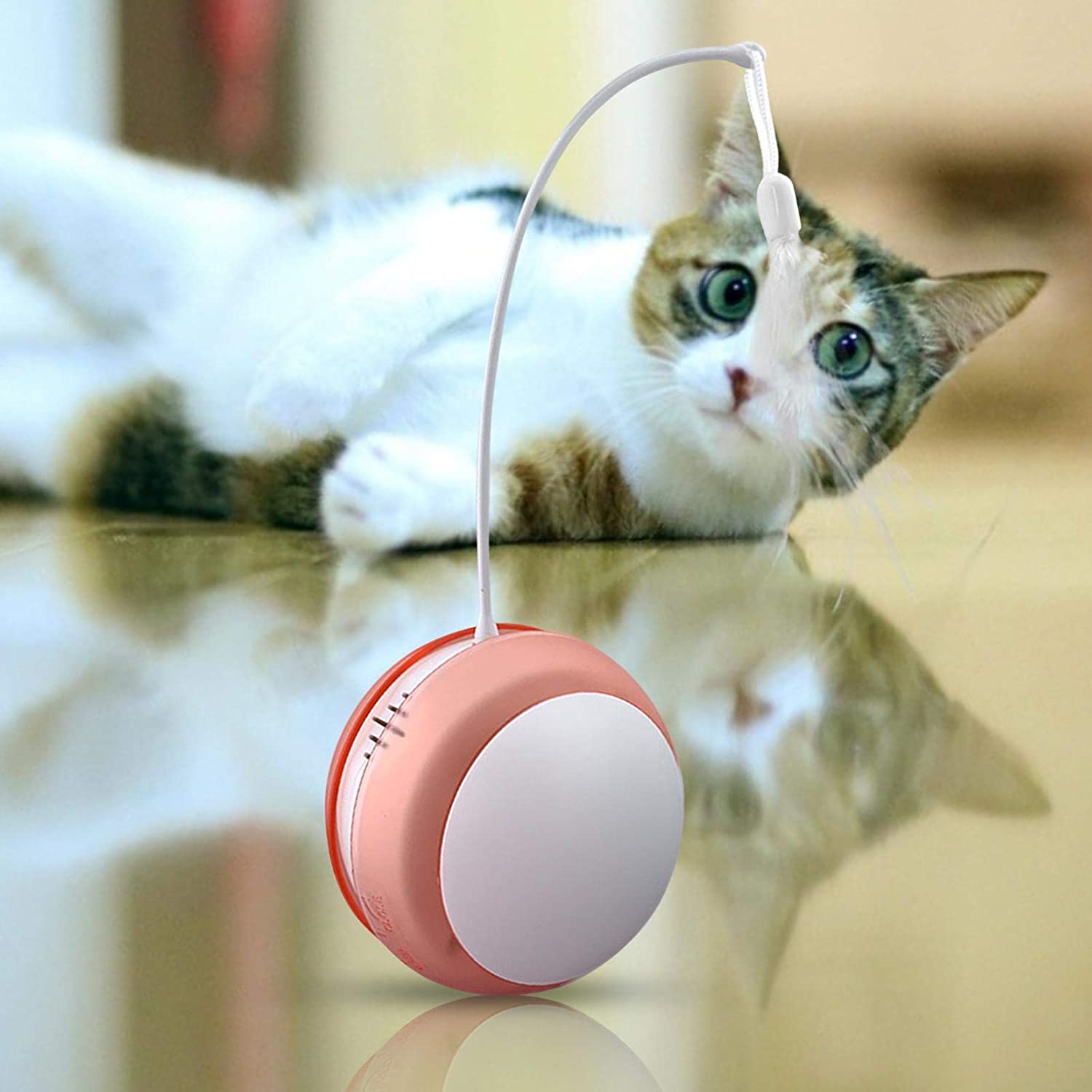 猫 自動 おもちゃ 電動 猫じゃらし 動く LED 光るボール 猫 おもちゃ 電動 ボール 音出る可能 運動不足 ストレス解消 羽のおもちゃ  ダイエット｜VOOPH