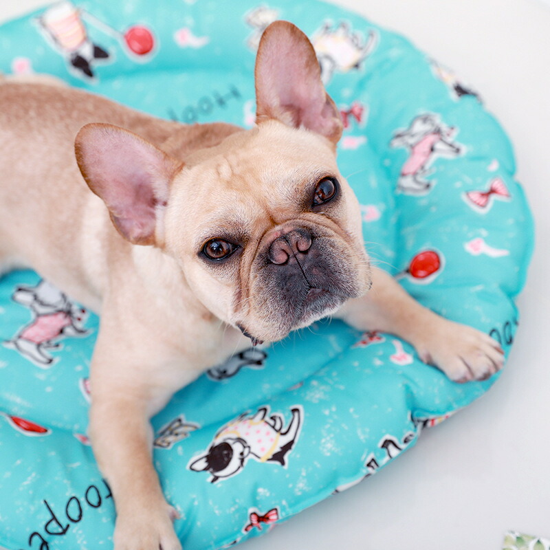 スプリングフェア Zxk ペット犬の犬小屋のマット大型犬は虫刺されアイスパッド冷却熱ポリエス 新古未使用品 還元祭 Carlavista Com