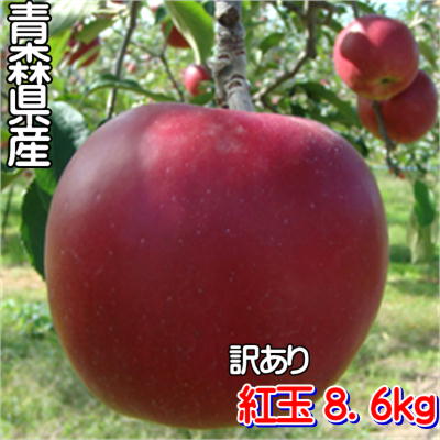 【早期割引ご予約販売】[業務用]『訳あり紅玉』8.6kgダンボール・モールドパック詰（36〜56玉入り）画像
