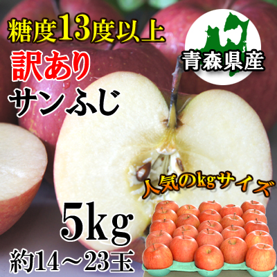 【訳あり】【糖度13度以上】青森県産「サンふじ」5kgダンボール・モールドパック詰（約14～23玉入）