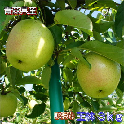 楽天市場】青森県産 訳あり「王林」5kg ダンボール・モールド