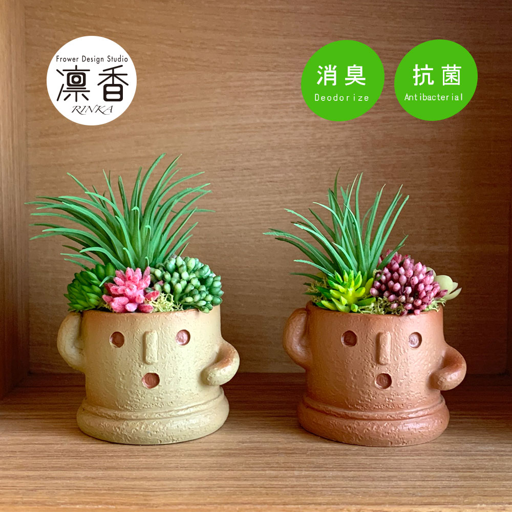 楽天市場】多肉植物 寄せ植え おしゃれ アニマル CT触媒加工