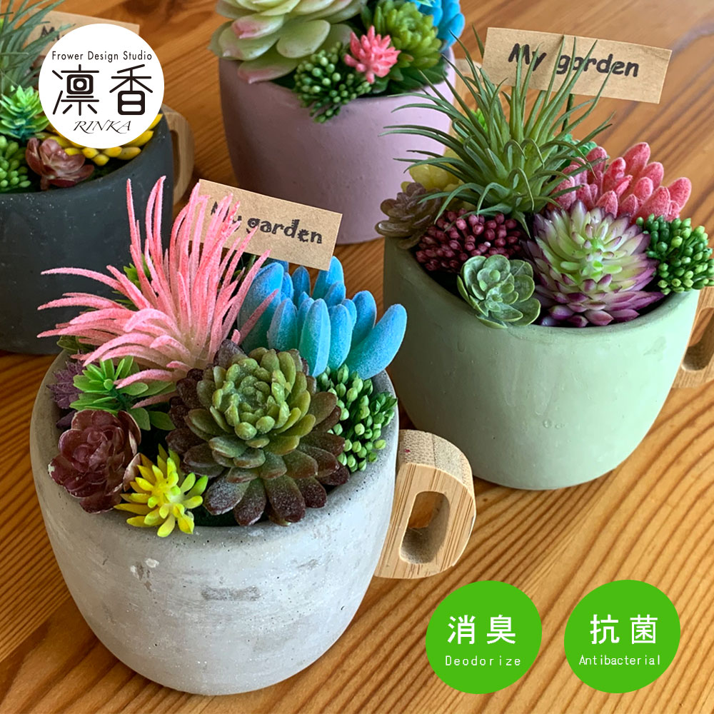 楽天市場】多肉植物 寄せ植え おしゃれ アニマル CT触媒加工