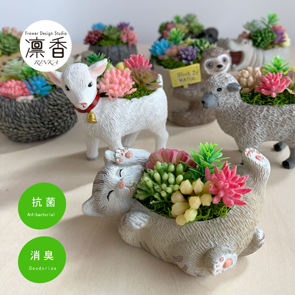 楽天市場】【送料無料】陶器 肉球鉢【L】サイズ【1個入り】多肉植物